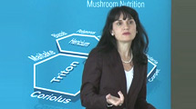 The Role of Mushroom Nutrition in Naturopathic Medicine and Nutrition (Part I) - Nuria Lorite Ayán (PhD) Pharmacist, Acp TCM
