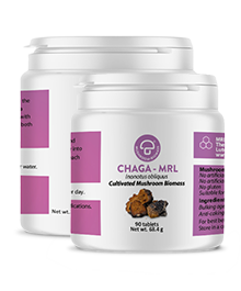 Chaga