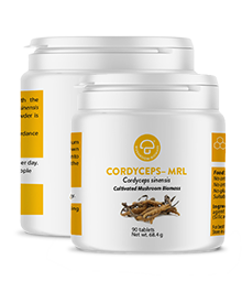 Cordyceps