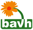 BAVH Logo
